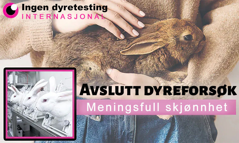 🦍Turoment™ Bie Gift Behandlingskrem (🔥Siste dag, 80 % rabatt)
